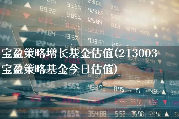 宝盈策略增长基金估值(213003宝盈策略基金今日估值)_https://www.fzdzcxj.com_科创板_第1张