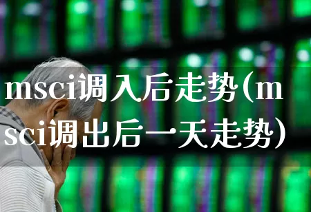 msci调入后走势(msci调出后一天走势)_https://www.fzdzcxj.com_深交所_第1张