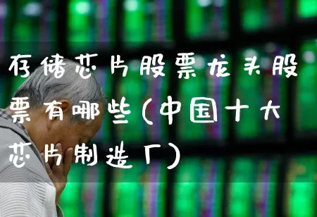 存储芯片股票龙头股票有哪些(中国十大芯片制造厂)_https://www.fzdzcxj.com_科创板_第1张