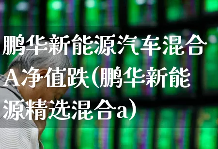 鹏华新能源汽车混合A净值跌(鹏华新能源精选混合a)_https://www.fzdzcxj.com_上交所_第1张