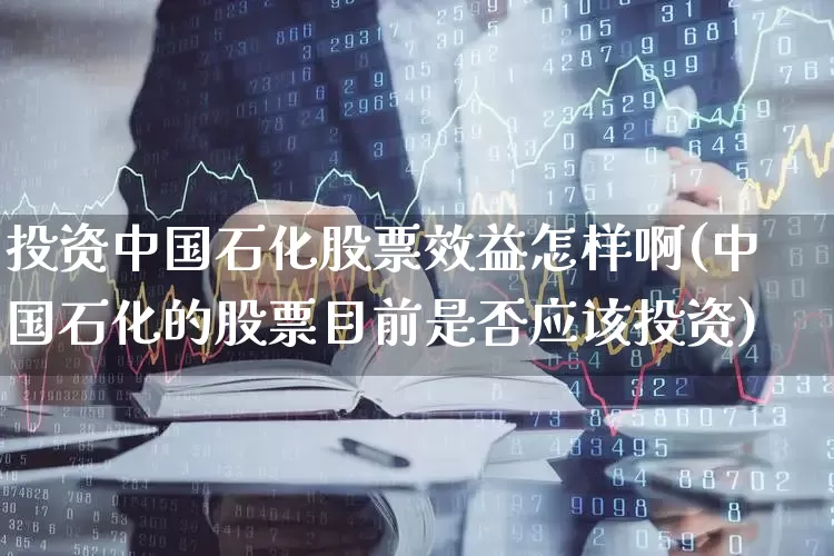 投资中国石化股票效益怎样啊(中国石化的股票目前是否应该投资)_https://www.fzdzcxj.com_北交所_第1张