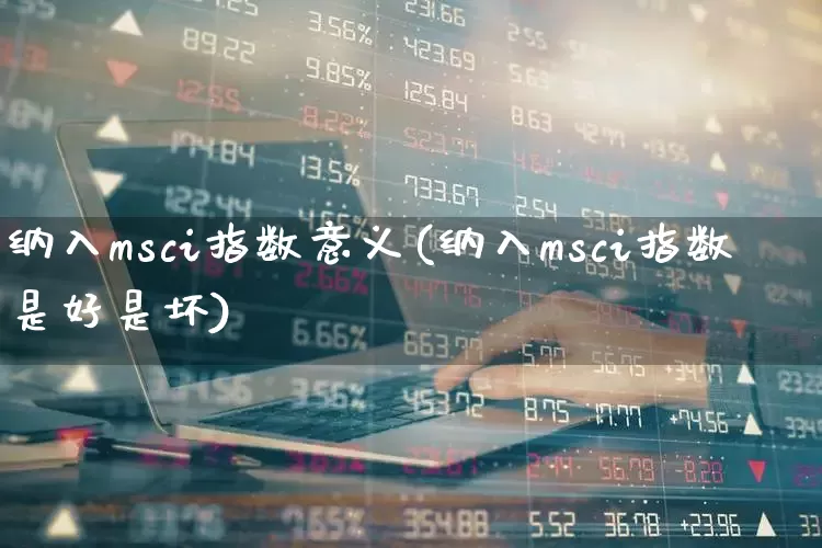 纳入msci指数意义(纳入msci指数是好是坏)_https://www.fzdzcxj.com_上交所_第1张