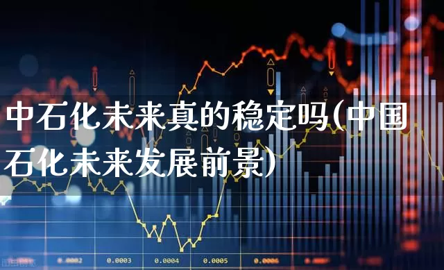 中石化未来真的稳定吗(中国石化未来发展前景)_https://www.fzdzcxj.com_北交所_第1张