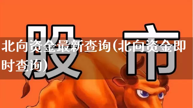 北向资金最新查询(北向资金即时查询)_https://www.fzdzcxj.com_科创板_第1张