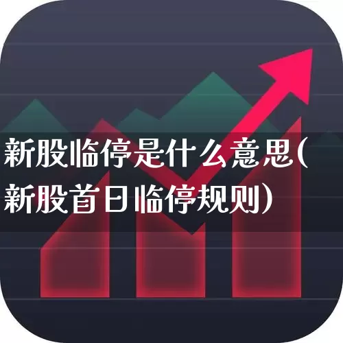 新股临停是什么意思(新股首日临停规则)_https://www.fzdzcxj.com_科创板_第1张