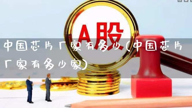 中国芯片厂家有多少(中国芯片厂家有多少家)_https://www.fzdzcxj.com_创业板_第1张