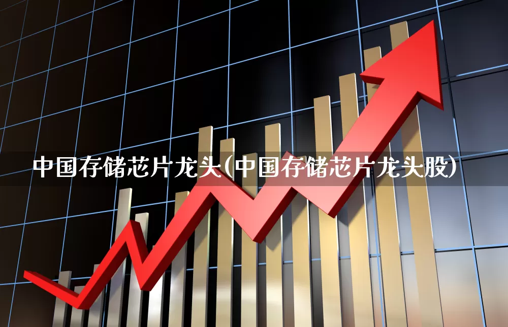 中国存储芯片龙头(中国存储芯片龙头股)_https://www.fzdzcxj.com_创业板_第1张