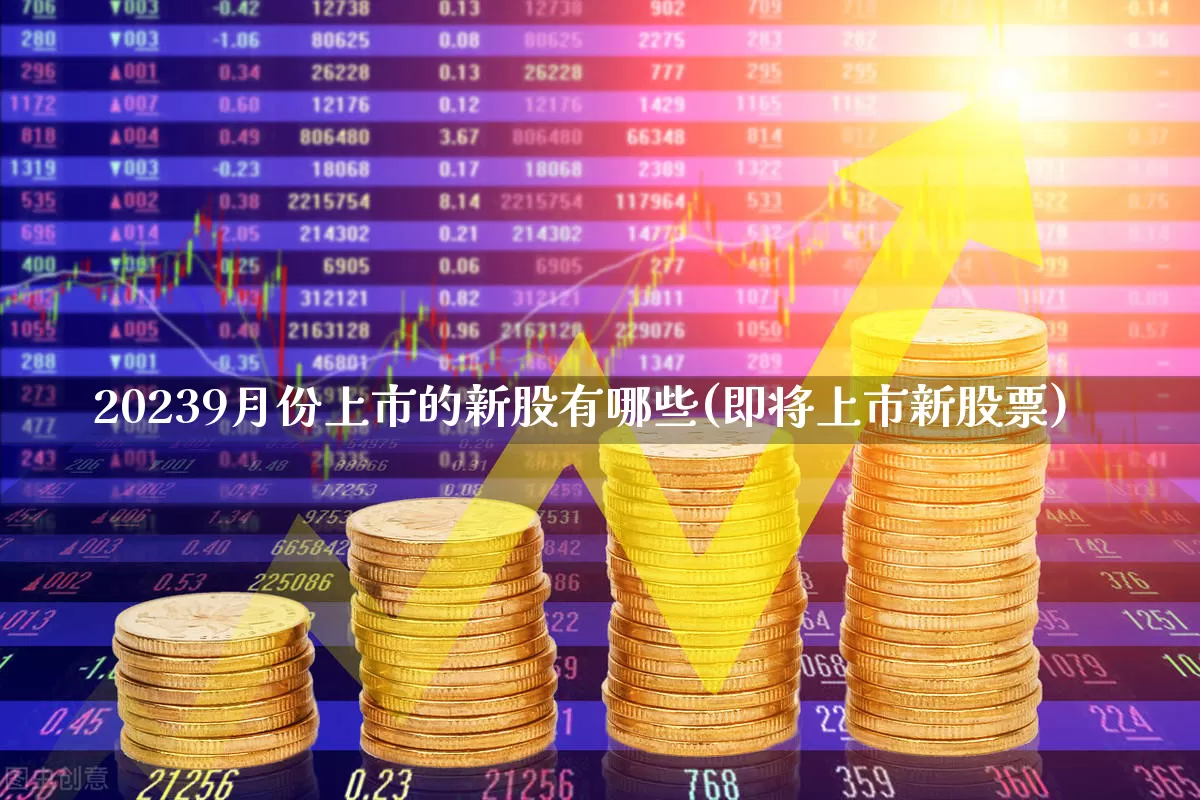 20239月份上市的新股有哪些(即将上市新股票)_https://www.fzdzcxj.com_上交所_第1张