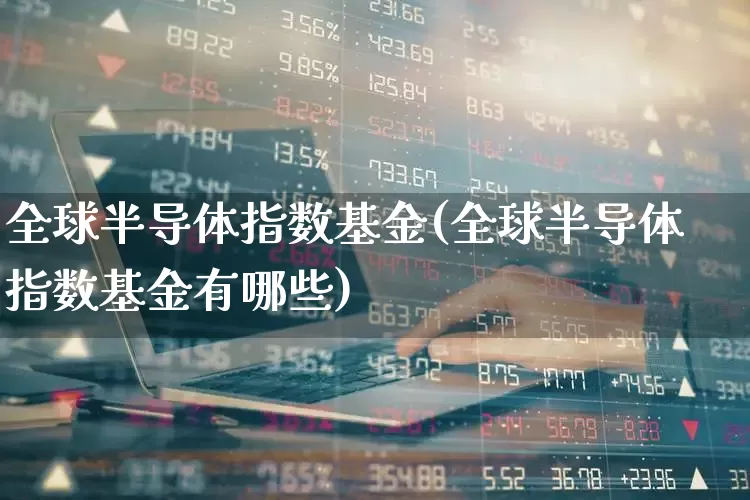 全球半导体指数基金(全球半导体指数基金有哪些)_https://www.fzdzcxj.com_北交所_第1张