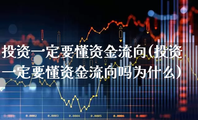 投资一定要懂资金流向(投资一定要懂资金流向吗为什么)_https://www.fzdzcxj.com_创业板_第1张