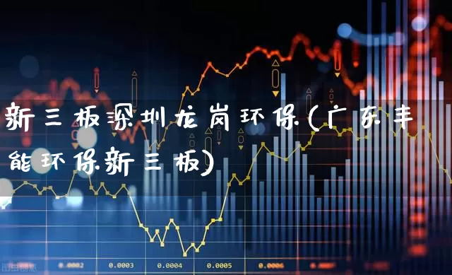 新三板深圳龙岗环保(广东丰能环保新三板)_https://www.fzdzcxj.com_深交所_第1张