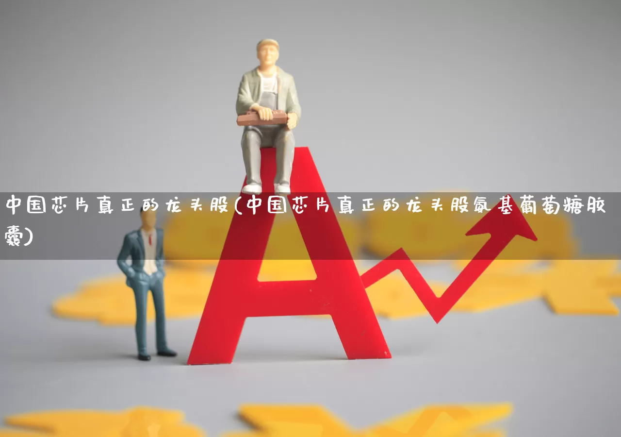 中国芯片真正的龙头股(中国芯片真正的龙头股氨基葡萄糖胶囊)_https://www.fzdzcxj.com_上交所_第1张