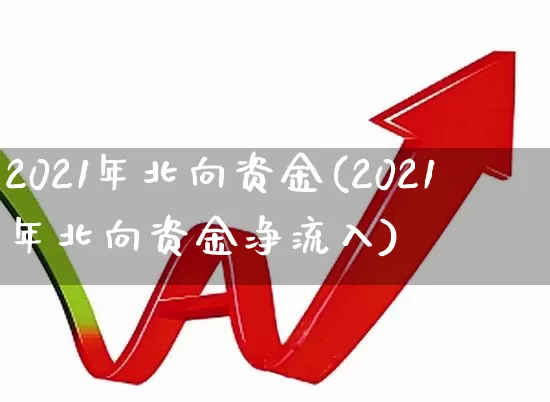 2021年北向资金(2021年北向资金净流入)_https://www.fzdzcxj.com_深交所_第1张