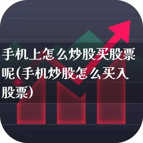 手机上怎么炒股买股票呢(手机炒股怎么买入股票)_https://www.fzdzcxj.com_上交所_第1张
