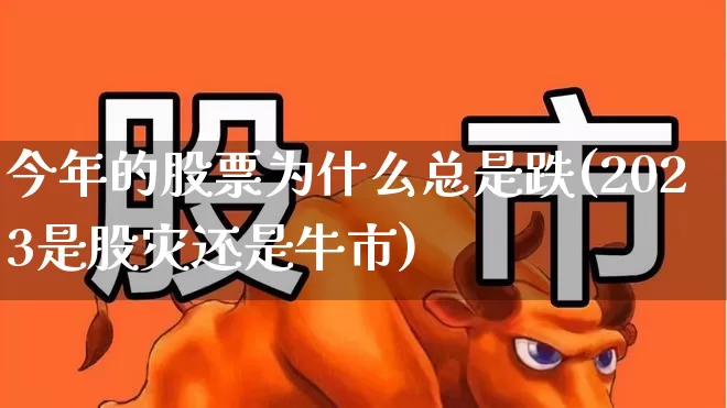 今年的股票为什么总是跌(2023是股灾还是牛市)_https://www.fzdzcxj.com_深交所_第1张