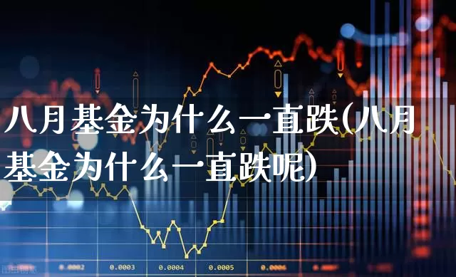 八月基金为什么一直跌(八月基金为什么一直跌呢)_https://www.fzdzcxj.com_深交所_第1张