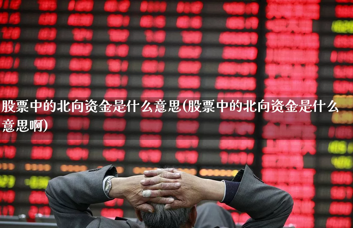 股票中的北向资金是什么意思(股票中的北向资金是什么意思啊)_https://www.fzdzcxj.com_创业板_第1张