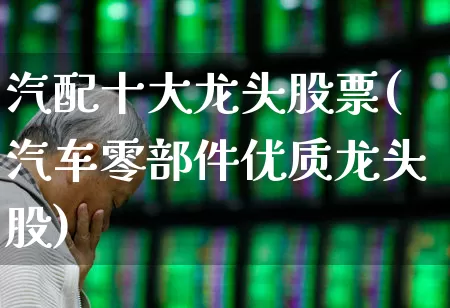 汽配十大龙头股票(汽车零部件优质龙头股)_https://www.fzdzcxj.com_深交所_第1张