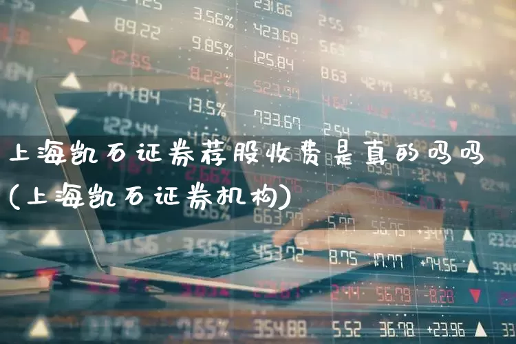 上海凯石证券荐股收费是真的吗吗(上海凯石证券机构)_https://www.fzdzcxj.com_北交所_第1张
