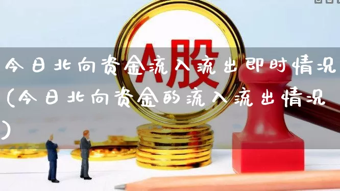 今日北向资金流入流出即时情况(今日北向资金的流入流出情况)_https://www.fzdzcxj.com_北交所_第1张