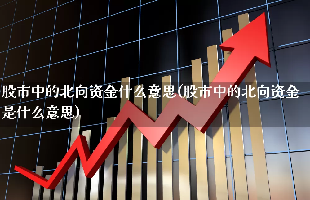 股市中的北向资金什么意思(股市中的北向资金是什么意思)_https://www.fzdzcxj.com_上交所_第1张