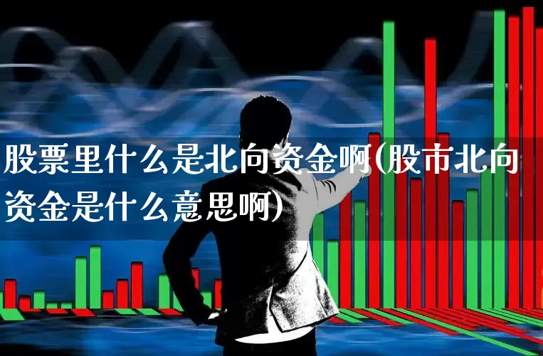 股票里什么是北向资金啊(股市北向资金是什么意思啊)_https://www.fzdzcxj.com_创业板_第1张
