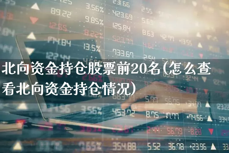 北向资金持仓股票前20名(怎么查看北向资金持仓情况)_https://www.fzdzcxj.com_科创板_第1张