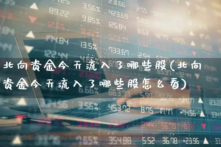 北向资金今天流入了哪些股(北向资金今天流入了哪些股怎么看)_https://www.fzdzcxj.com_北交所_第1张