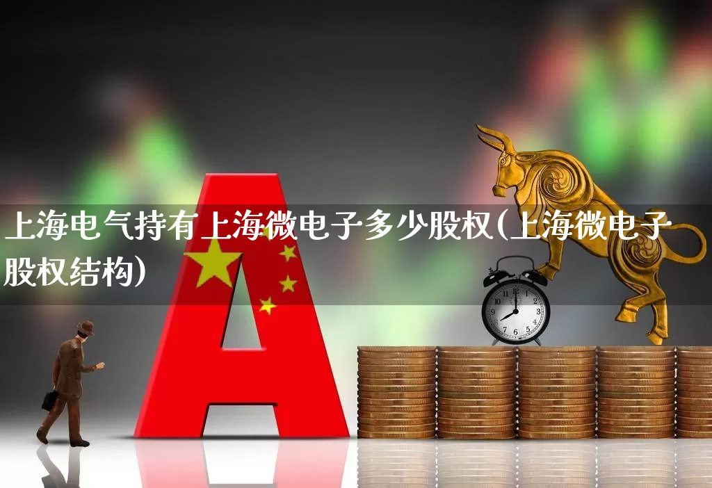 上海电气持有上海微电子多少股权(上海微电子股权结构)_https://www.fzdzcxj.com_深交所_第1张