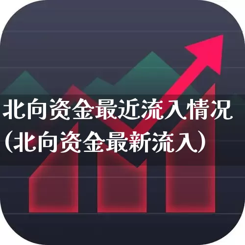 北向资金最近流入情况(北向资金最新流入)_https://www.fzdzcxj.com_深交所_第1张
