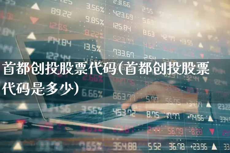 首都创投股票代码(首都创投股票代码是多少)_https://www.fzdzcxj.com_深交所_第1张