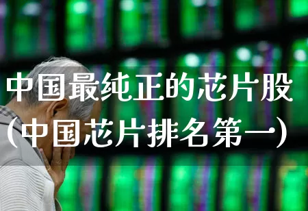 中国最纯正的芯片股(中国芯片排名第一)_https://www.fzdzcxj.com_创业板_第1张