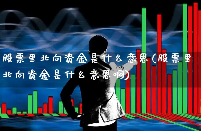 股票里北向资金是什么意思(股票里北向资金是什么意思啊)_https://www.fzdzcxj.com_上交所_第1张