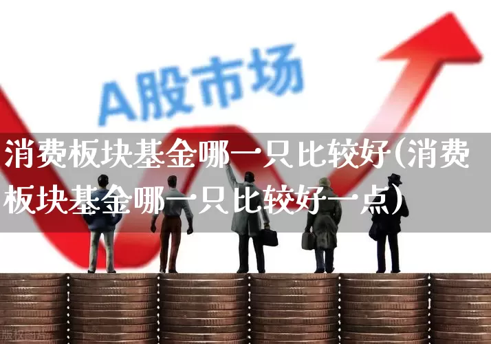 消费板块基金哪一只比较好(消费板块基金哪一只比较好一点)_https://www.fzdzcxj.com_深交所_第1张
