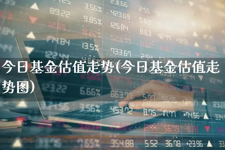 今日基金估值走势(今日基金估值走势图)_https://www.fzdzcxj.com_创业板_第1张