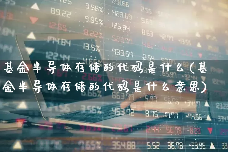 基金半导体存储的代码是什么(基金半导体存储的代码是什么意思)_https://www.fzdzcxj.com_科创板_第1张