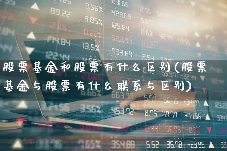 股票基金和股票有什么区别(股票基金与股票有什么联系与区别)_https://www.fzdzcxj.com_北交所_第1张