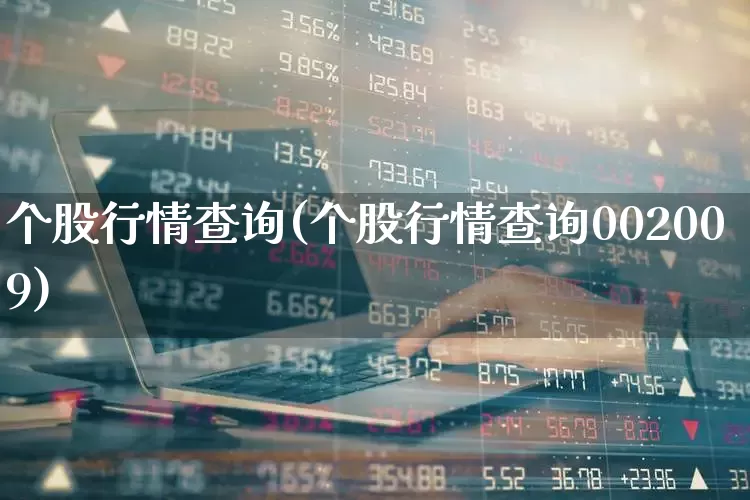 个股行情查询(个股行情查询002009)_https://www.fzdzcxj.com_创业板_第1张