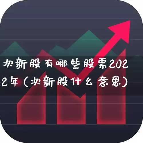 次新股有哪些股票2022年(次新股什么意思)_https://www.fzdzcxj.com_北交所_第1张