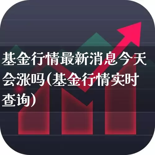 基金行情最新消息今天会涨吗(基金行情实时查询)_https://www.fzdzcxj.com_北交所_第1张
