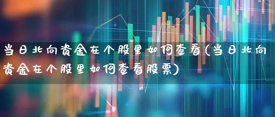 当日北向资金在个股里如何查看(当日北向资金在个股里如何查看股票)_https://www.fzdzcxj.com_上交所_第1张