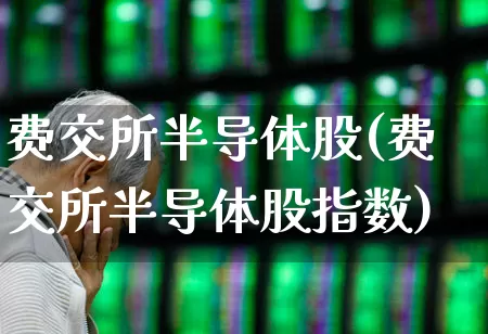 费交所半导体股(费交所半导体股指数)_https://www.fzdzcxj.com_科创板_第1张