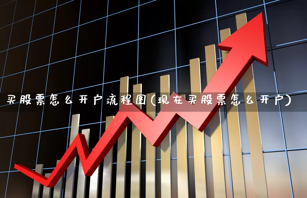 买股票怎么开户流程图(现在买股票怎么开户)_https://www.fzdzcxj.com_上交所_第1张