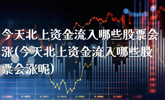今天北上资金流入哪些股票会涨(今天北上资金流入哪些股票会涨呢)_https://www.fzdzcxj.com_上交所_第1张