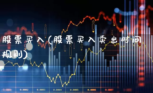 股票买入(股票买入卖出时间规则)_https://www.fzdzcxj.com_创业板_第1张