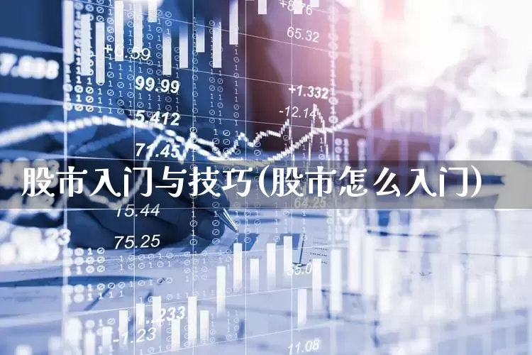 股市入门与技巧(股市怎么入门)_https://www.fzdzcxj.com_北交所_第1张