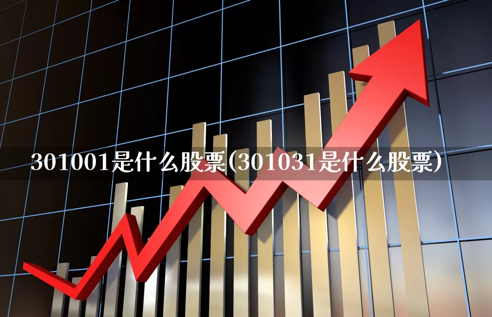 301001是什么股票(301031是什么股票)_https://www.fzdzcxj.com_上交所_第1张
