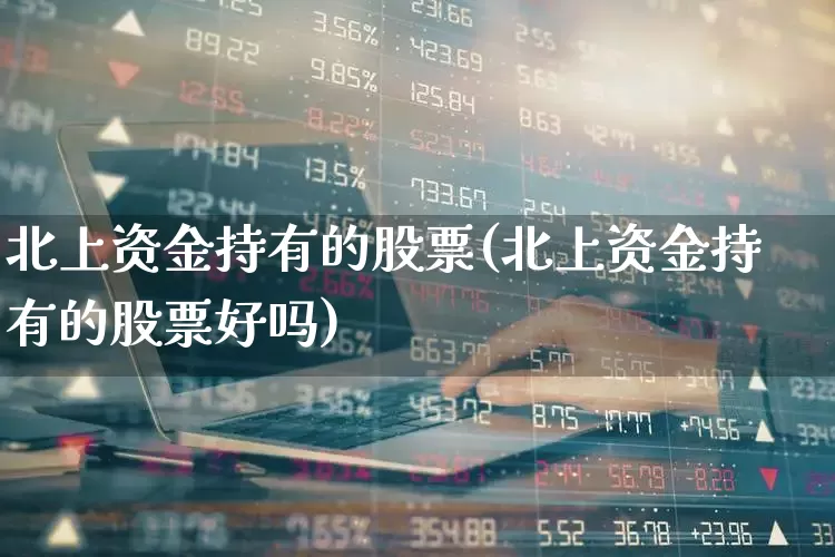 北上资金持有的股票(北上资金持有的股票好吗)_https://www.fzdzcxj.com_科创板_第1张