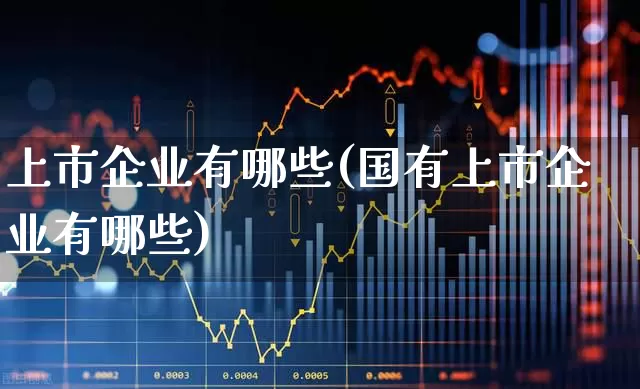 上市企业有哪些(国有上市企业有哪些)_https://www.fzdzcxj.com_科创板_第1张