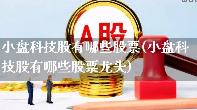 小盘科技股有哪些股票(小盘科技股有哪些股票龙头)_https://www.fzdzcxj.com_创业板_第1张